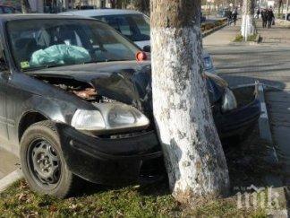 хонда заби дърво супермаркет козлодуй