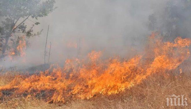Подпалиха се пасища край пътя за Рилския манастир