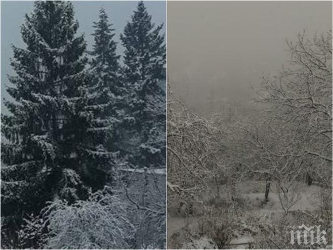 КОЛЕДНО ЧУДО! Сняг на парцали се изсипа в Западна България (СНИМКИ)