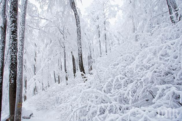 ПСС: В планините сега е прекрасно, но си носете котки и щеки 