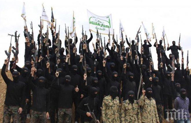 Над 5 000 тунизийци воюват за радикални ислямистки групировки