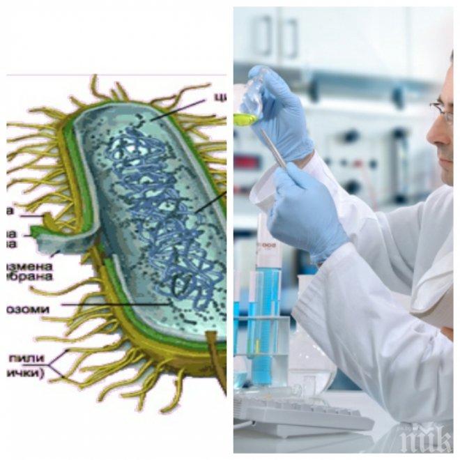 Учени: Океански бактерии лекуват рак на простатата 