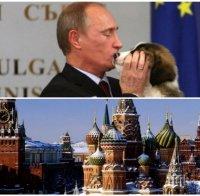 ПЪРВО В ПИК! Путин ще се гледа по телевизията на Нова година