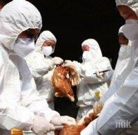 10 огнища на птичи грип тлеят в страната