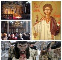 ИЗВЪНРЕДНО И САМО В ПИК TV! Започват 