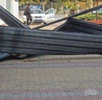 Жълт код: Силен вятър брули в 11 области в Северна България 