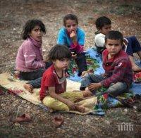 Дадоха 11 тона хуманитарна помощ за цивилните в Сирия