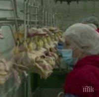 Българският гъши дроб хит в Белгия! Изпреварваме французите, RТL ни рекламира с репортаж