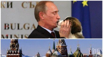 първо пик путин гледа телевизията нова година