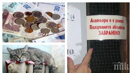 извънредно топлото поскъпва отсече кевр асансьорите нас потенциални ковчези вижте новините пик