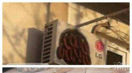 челен опит новатор наниза суджуците наклиматика