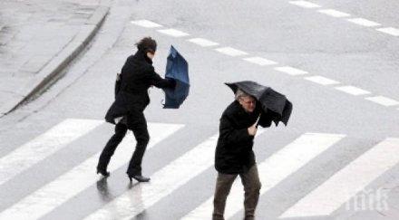 валежите спират извие бурен вятър