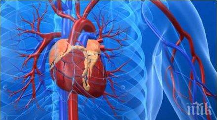 професор кардиохирургия категоричен грама концентрат полезни сърдечното здраве