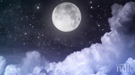 звездите говорят уверени любовта силни самоуверени енергични