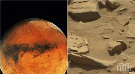горещи доказателства снимка наса показва марс имало живот видео