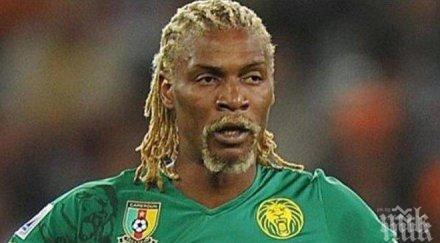 разтърсваща драма домашен любимец герой куче спаси живота един известните футболисти