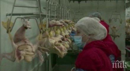 българският гъши дроб хит белгия изпреварваме французите rтl рекламира репортаж