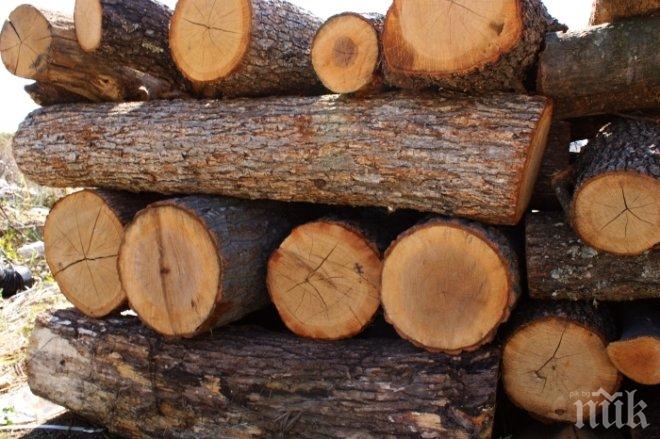 По комшийски: Гърци купуват дърва от Кюстендил
