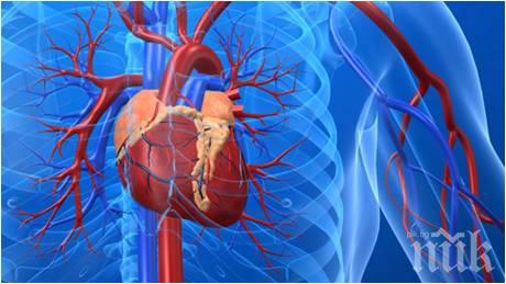 Професор по кардиохирургия категоричен: 50 грама концентрат са полезни за сърдечното здраве

