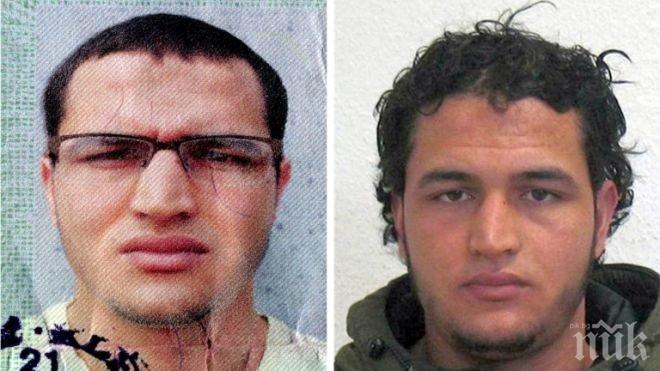 
Нова следа! Атентаторът от Берлин минал и през Холандия?
