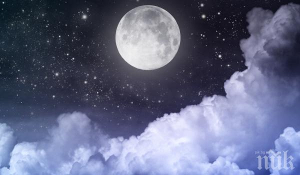 ЗВЕЗДИТЕ ГОВОРЯТ: Уверени в любовта, силни, самоуверени и енергични