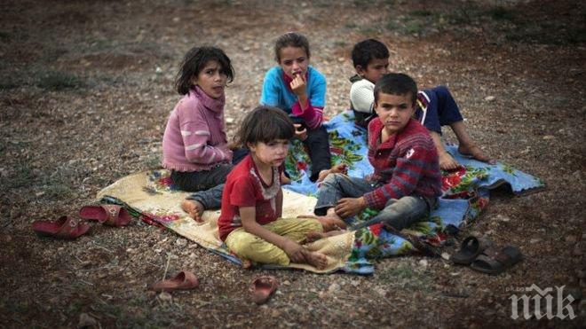 Дадоха 11 тона хуманитарна помощ за цивилните в Сирия