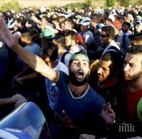 Престъпността сред бежанците в Германия рязко намаляла