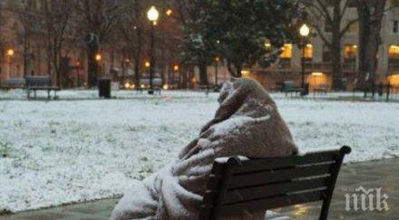 честита коледа охранител изгони куче бездомна жена студа