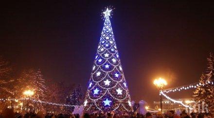 ужас намериха мъртъв млад мъж новогодишна елха