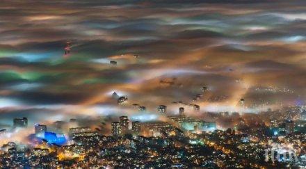 българин топ нешънъл джиографик 2016