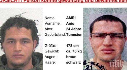 данни пристигането италия анис амри движел вълк единак