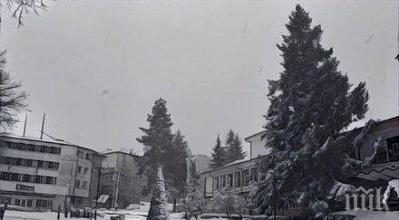 отменят празненството нова година търново