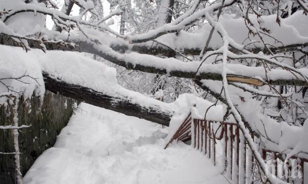 ВНИМАНИЕ! Частично бедствено положение е обявено в 5 населени места