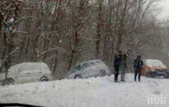 ИНЦИДЕНТ! Три коли излетяха в канавката край бургаското село Маринка