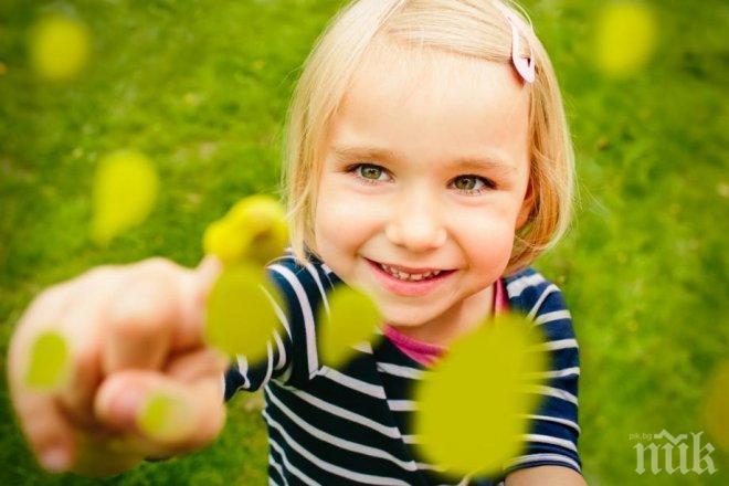 Пролетното зелено е цветът на 2017 г.