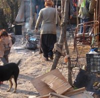 Би Би Си: Ромско семейство е разстреляно в София