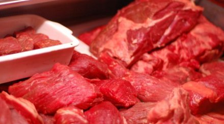 червеното месо храна културисти