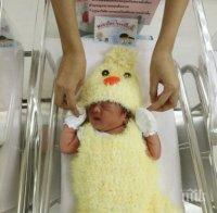 Болница облича новородените като пилета