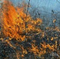 БЕЛЯ! Туристи предизвикаха мащабен горски пожар в Германия