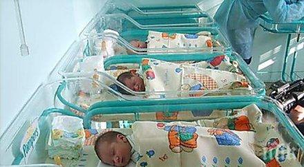 хит шанела броклестър гукат бебешкото отделение болницата монтана