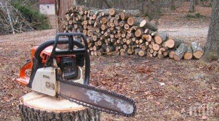 фермерът живко затри двамата дървосекачи първо предложил работа