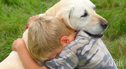 вниманието родителите кучето лекува детето страхове