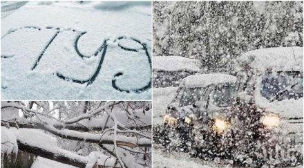 потвърдено събота замръзваме сковават градуса