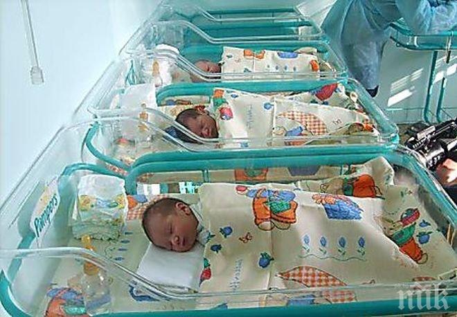 ХИТ! Шанела и Броклестър гукат в бебешкото отделение на болницата в Монтана