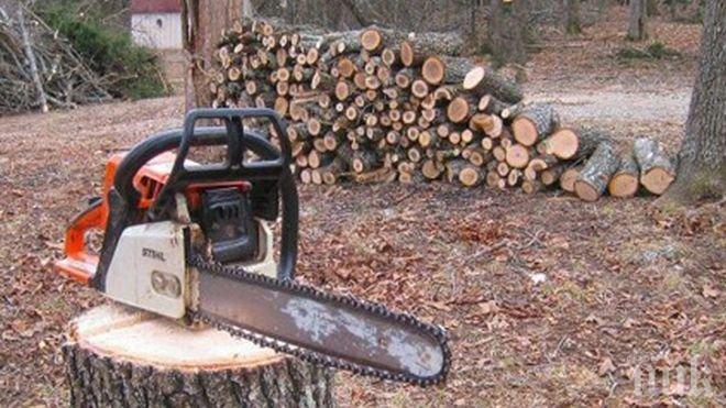 Фермерът Живко, който затри двамата дървосекачи, първо им предложил работа