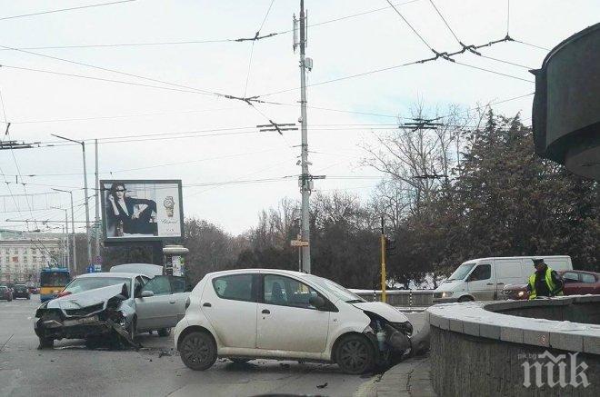 Автомеле в София образува гигантска тапа 