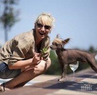 ГОРЕЩО! Мъжкият блян Петя Раева с най-екзотичното куче в България ГОРЕЩО! Мъжкият блян Петя Раева с най-екзотичното куче в България