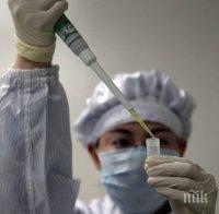 Овладяха огнищата на птичи грип във Видинско