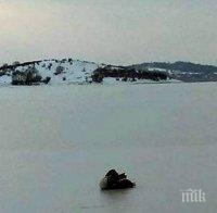 Бърза реакция! И министър се включи в акцията по спасяването на лебеда в Бургас, опасяват се от птичи грип