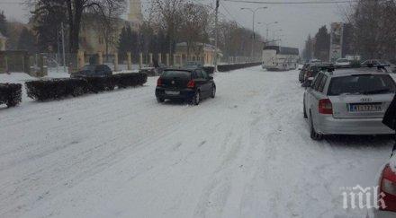 ужас колона калотина